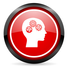 head round red glossy icon on white background