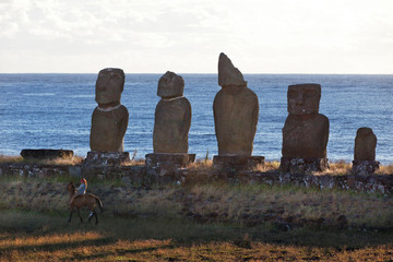 Five moai and a rider in Easter Island