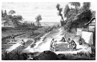 Asian Peasants - 19th century