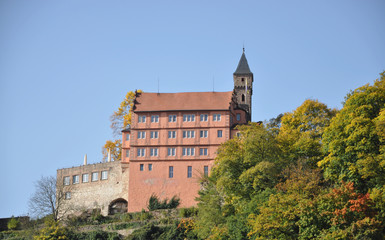Fototapeta na wymiar Burg in Hirschhorn