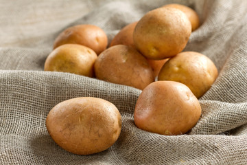 Potato