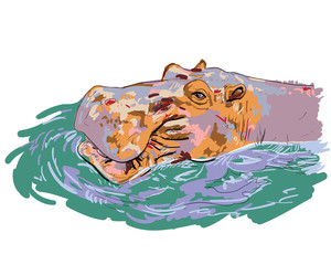 The hippopotamus soaks happily.