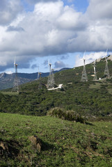 Wind farm in Tarifa, Spain