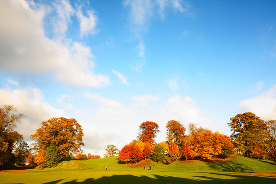 Wonderful autumnal scene in the park