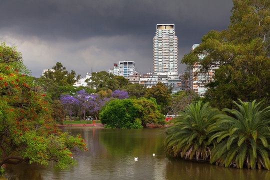 Spring in Buenos Aires