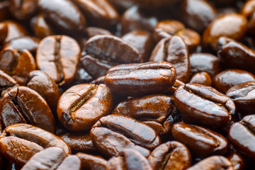 roasted coffee arabica