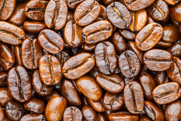 roasted coffee arabica