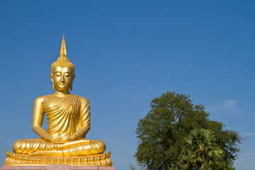 Fototapeta premium Buddha statue