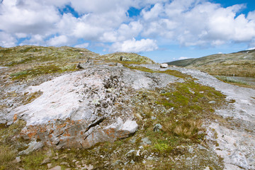 Tundra landscape in Norway
