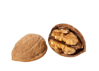 Walnut in Shell