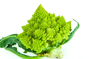Brassica Oleracea / Romanesco broccoli / Roman cauliflower
