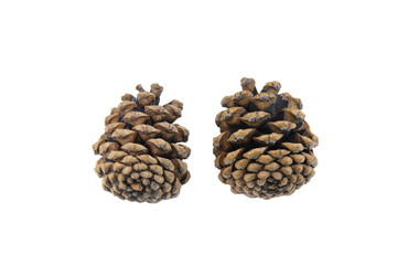 Pine Cone decoration