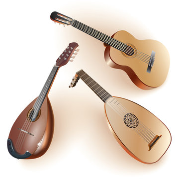 Lute string 2024 family instruments