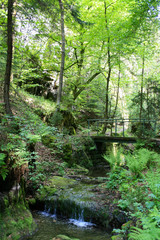 Wandern Böhmische Schweiz