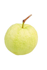  guava