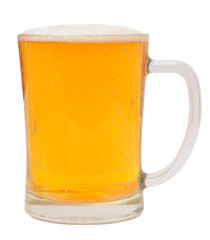 light beer