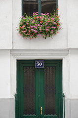 Fototapeta na wymiar Green door and flowers
