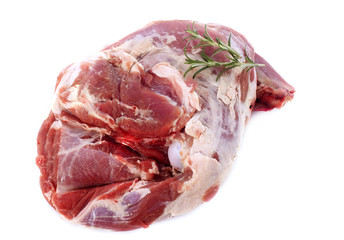 shoulder of lamb © cynoclub