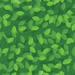 Stickers pour porte Vert Eco vert laisse motif de fond sans soudure.