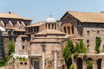 Obraz premium Roman ruins in Rome, Forum