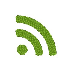 Four Leaf Clove of RSS Feed Sign