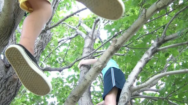 Kids in Tree Together