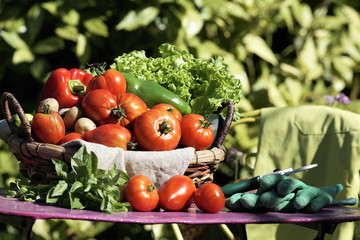 vegetables on table in garden