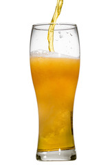 Beer is pouring into glass on white background