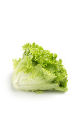 head of lettuce