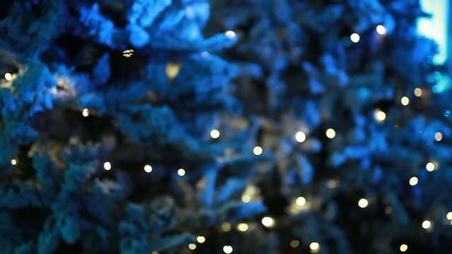 Alberi di natale