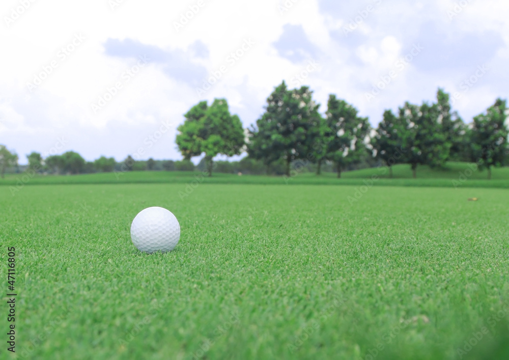 Wall mural golf ball on a green