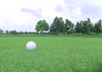 golf ball on a green