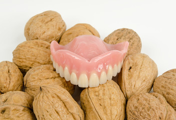 Gebiss auf Walnüssen