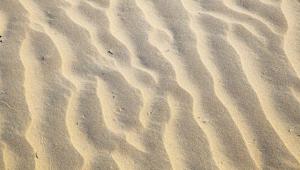 pattern of sand dunes at the beach