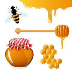 Vector Illustration of Honey Elements