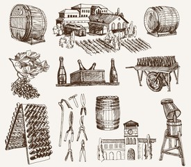 winemaking. the production of sparkling wines