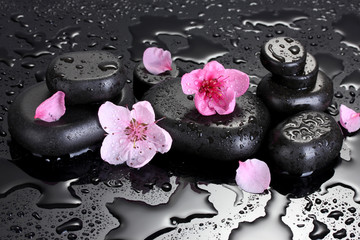 Obraz na płótnie Canvas Kamienie spa z kropli i różowe kwiaty sakura