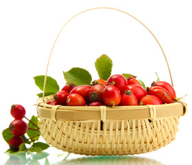 ripe hip roses with leaves in basket, isolated on white