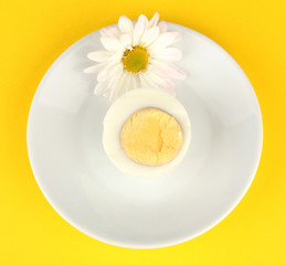Boiled egg on color background