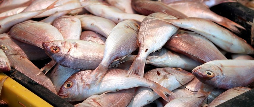 Pageots au march&eacute;