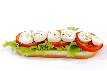 Sandwich with mozzarella tomato and salad