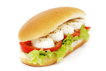 Sandwich with mozzarella tomato and salad