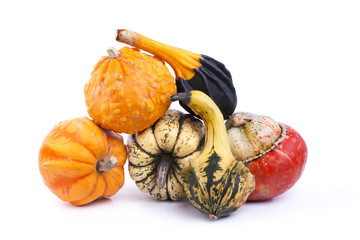 Courge - Cucurbitacés