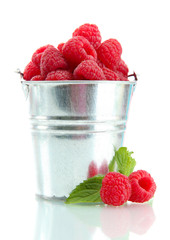 beautiful raspberries in bucket isolated on white