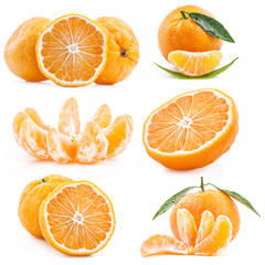 Collections of Tangerines with green leaves and water drops