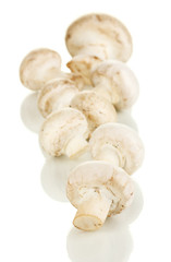 Fresh mushrooms isolated on white