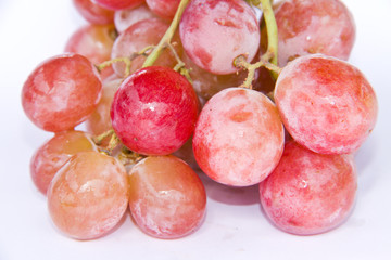 red grape isolated on white background