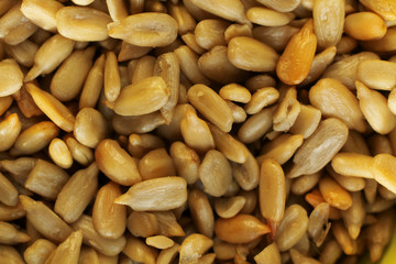 Sunflower seeds