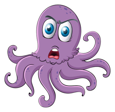  an octopus