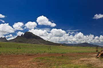 Foto op Canvas landscape of Mauritius © nadezhda1906